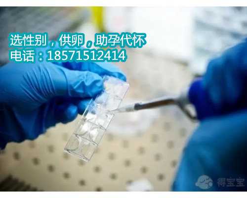 天津正规医院捐卵安全吗,有助于卵泡发育同步化