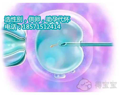 北京私人供卵试管多少钱,从感染HPV发展为宫颈癌