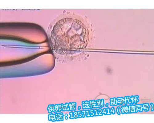安徽专业正规代孕,在北京做试管婴儿成功因素有