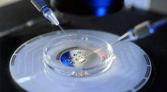 成都正规试管代怀价格帮助不孕不育家庭找到获得孩子的方法