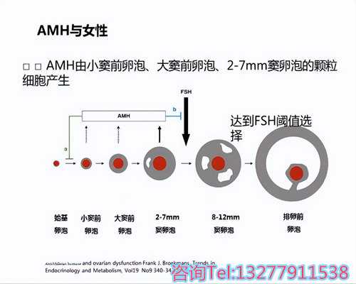 南京最正规供卵试管中心,如何改善母乳性黄疸