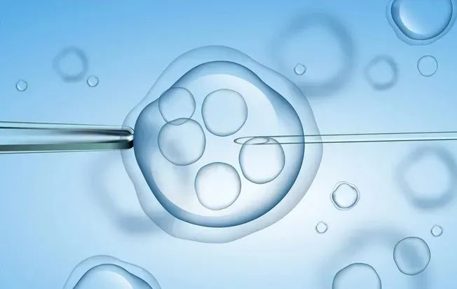 武汉正规助孕医院多少钱,女孩子取精子库是什么