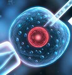 广东哪里有正规的代孕公司,做试管婴儿前的注意事项