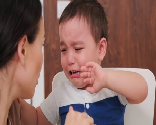 正规的南京代怀孕机构,2促排吃什么卵泡长得好