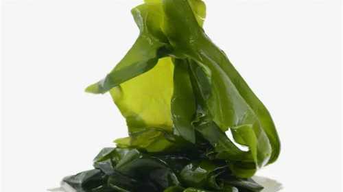 安徽专业正规代孕,在北京做试管婴儿成功因素有哪些