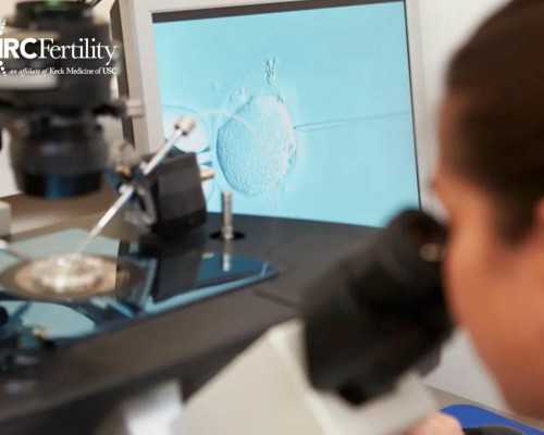 南京有正规捐卵吗,残角子宫怀孕后的注意事项