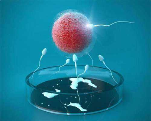 南京正规代怀网价格表,3乌克兰试管技术详情