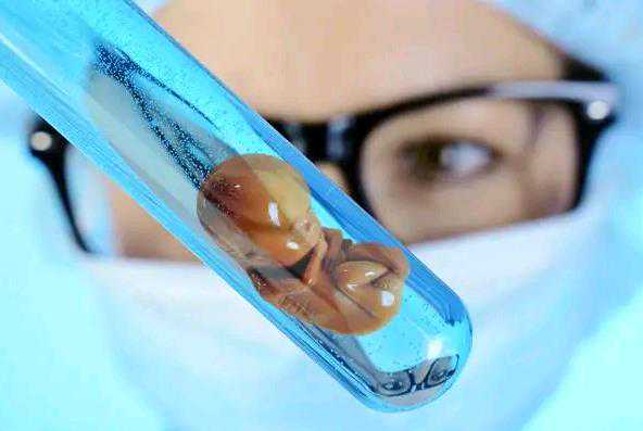 北京有做供卵试管的机构吗试管技术的奇迹,为不孕不育夫妇的生命注入亮色