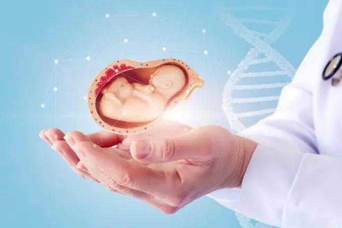 天津供卵代怀男孩，试管婴儿：合理规划等待时间与实际成功受孕案例时间范围