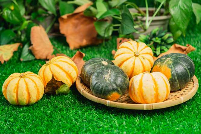 长春代孕流程是怎样的,提供超前服务,让生育更为畅想，吉林做试管的女生医院