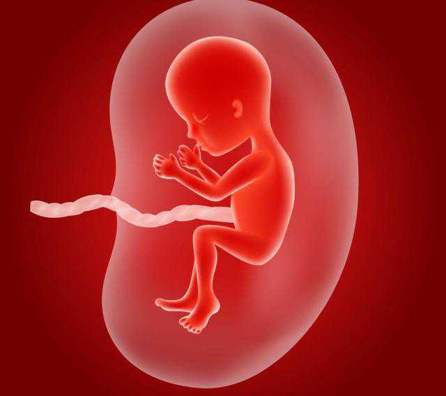 上海助孕哪家强是如何进行卵子采集的