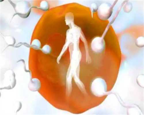 供卵去哪里,沈阳哪里有助孕