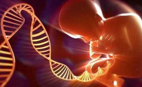 南京哪个医院做试管可以供卵,全国首例试管婴儿是哪家医院