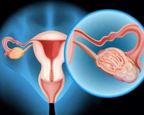 江西找代生公司:让你的人生重新焕发光彩