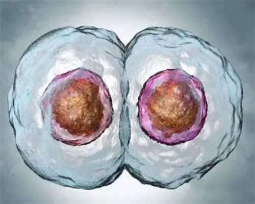 天津供卵代怀男孩，求姐妹分享试管婴儿受精卵等级是怎样划分的？